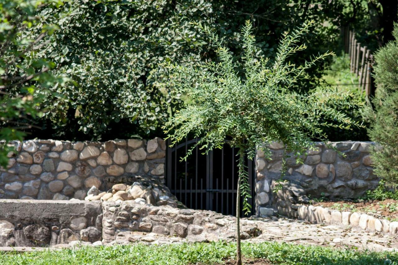 Guesthouse Silvani Крушевац Екстериор снимка